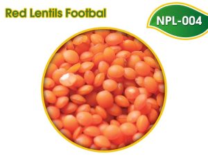 npl 004
